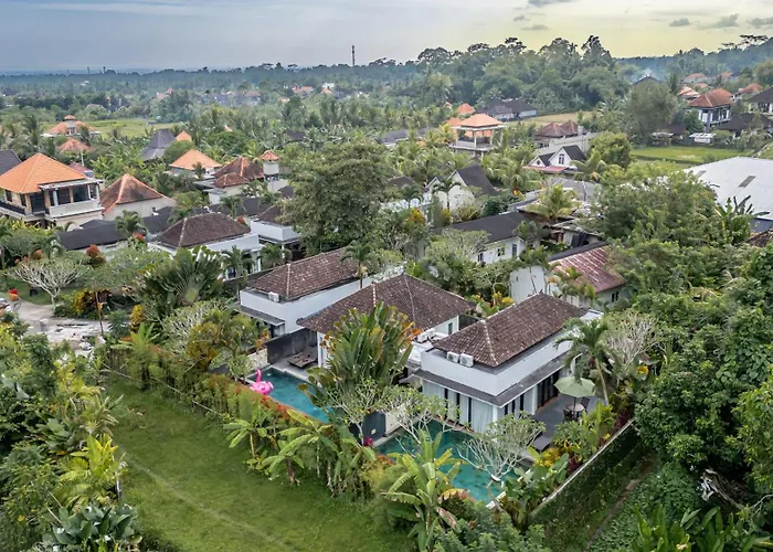 Canikaya #2 * Ubud