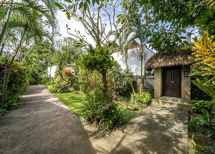 Canikaya #2 Ubud